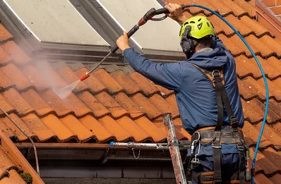 Démoussage et hydrofuge de toiture à Busset